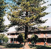 Eastern Beach Holiday Units - Sunshine Coast Guide