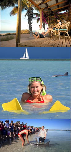  Sunshine Coast Guide