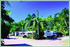 Tropical Hibiscus Caravan Park - Sunshine Coast Guide 0