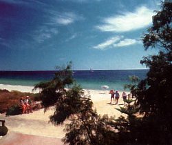 Acacia Caravan Park - Sunshine Coast Guide 0