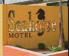Seahorse Motel - Sunshine Coast Guide 1