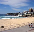 Biltmore On Bondi Backpackers - Sunshine Coast Guide