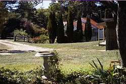 Adaminaby NSW Sunshine Coast Guide