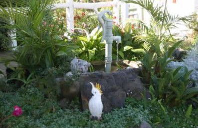Kingfisher Motel - Sunshine Coast Guide 3