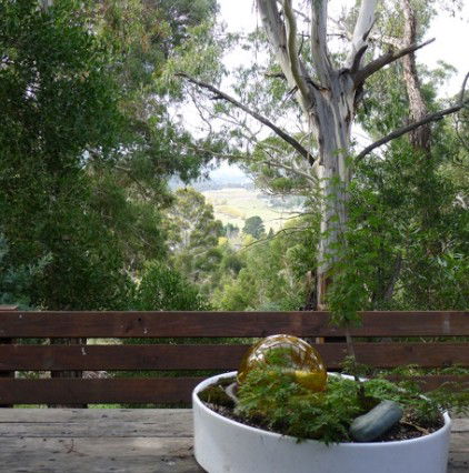 Bimblegumbie B And B - Sunshine Coast Guide 0