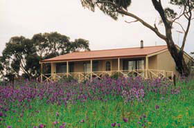 Armagh SA Sunshine Coast Guide