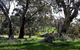 Wuthering Heights - Bronte Manor - thumb 3