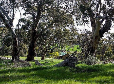 Wuthering Heights - Bronte Manor - Sunshine Coast Guide 3
