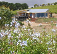 The Blue Grape Vineyard Accommodation - Sunshine Coast Guide