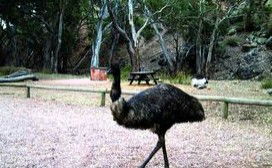 Mambray Creek Cabin - Sunshine Coast Guide 1