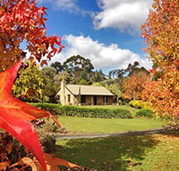 Adelaide Hills Country Cottages - Lavender Fields - Sunshine Coast Guide