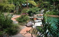 Galvins Edge Hill Bed And Breakfast - Sunshine Coast Guide 5