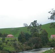 Tin Dragon Trail Cottages - Sunshine Coast Guide