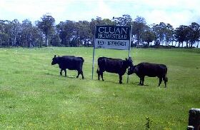 Cluan Homestead - The Managers Residence - Sunshine Coast Guide 0