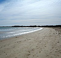 Greens Beach Caravan Park - Sunshine Coast Guide