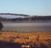 Fonthill - Sunshine Coast Guide