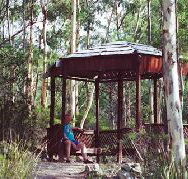 Telopea - Sunshine Coast Guide