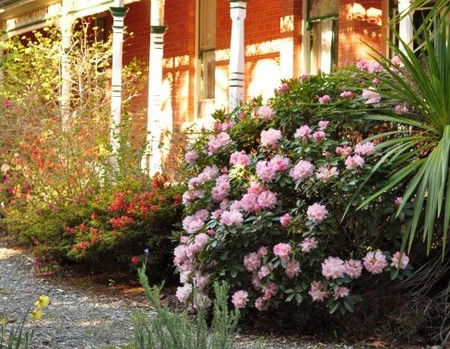 Ormiston House - Sunshine Coast Guide 3