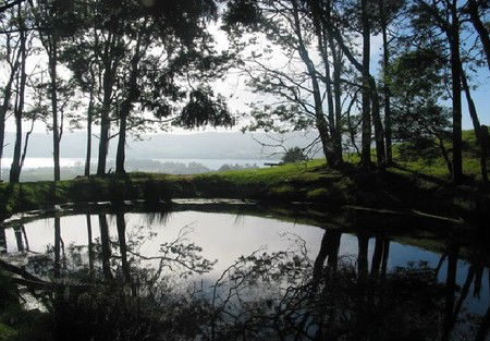Camellia Cottage At Maple Hill - Sunshine Coast Guide 2