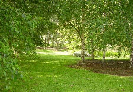 Camellia Cottage At Maple Hill - Sunshine Coast Guide 3