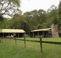 Tree Fern Lodge - Sunshine Coast Guide