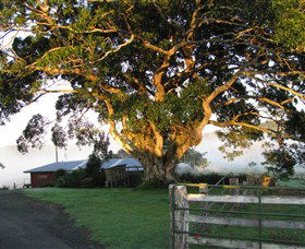 Arley Farm, The Old Dairy - Sunshine Coast Guide 0
