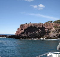Art on Hart - Sunshine Coast Guide