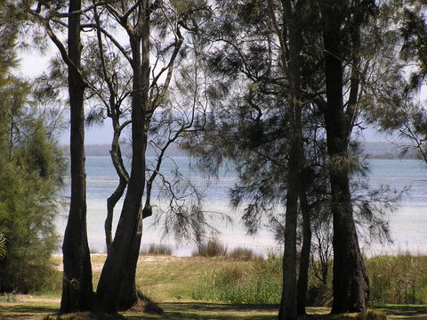 A Paradise Bungalow Waterfront - Sunshine Coast Guide 5