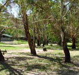 Woods Reserve - Sunshine Coast Guide