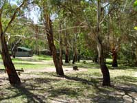 Woods Reserve - Sunshine Coast Guide 0