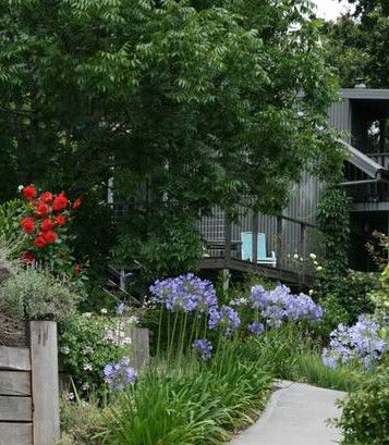 Cloudsong In Kangaroo Valley - Sunshine Coast Guide 0
