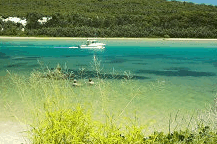 Wooli Camping and Caravan Park - Sunshine Coast Guide