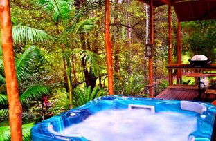 A Waterfall Hideout-Rainforest Cabin For Couples - Sunshine Coast Guide 5