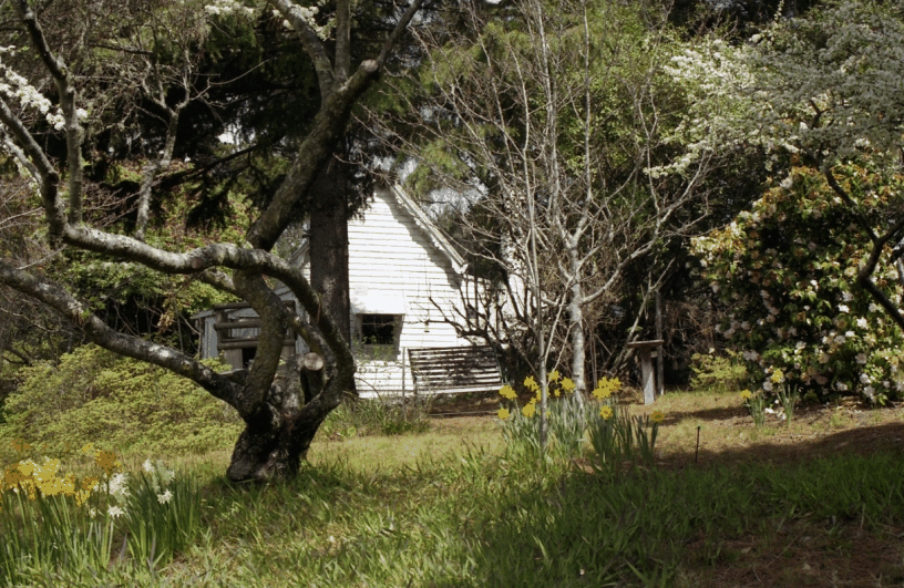 Avoca Cottage - Sunshine Coast Guide 3