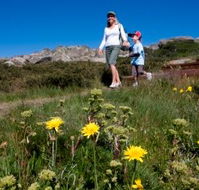 Horizons Apartment 407 - Sunshine Coast Guide