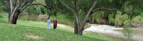 Apex Riverside Tourist Park - Sunshine Coast Guide 4