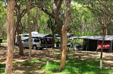 Cathedrals On Fraser - Sunshine Coast Guide 1