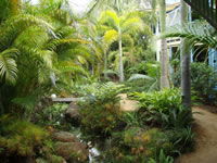 Chamomile Bed And Breakfast - Sunshine Coast Guide 0