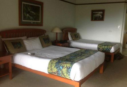 OReillys Rainforest Retreat - Sunshine Coast Guide 5