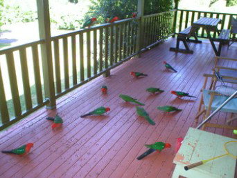 A Little Bit Of Heaven - Holiday Home - Sunshine Coast Guide 8