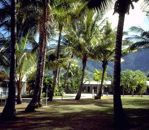 Clifton Palms - Sunshine Coast Guide 0