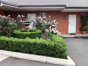 Akuna Motor Inn - Sunshine Coast Guide 4