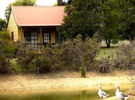 Mountain View Motor Inn And Holiday Lodges - Sunshine Coast Guide 2