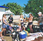 Shark Bay Cottages - Sunshine Coast Guide