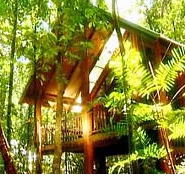 The Canopy Treehouses - Sunshine Coast Guide