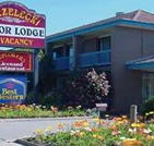 Strzelecki Motor Lodge - Sunshine Coast Guide