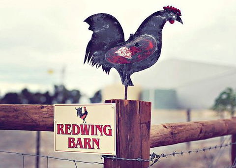 Redwing Farm - The Barn - Sunshine Coast Guide 0