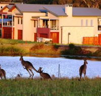 Grand Mercure The Vintage Hunter Valley - Sunshine Coast Guide