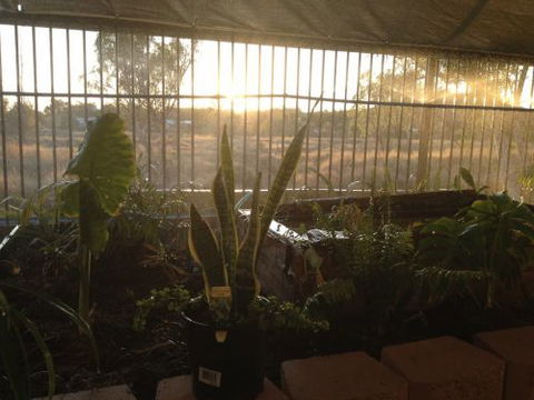 Cityside Accommodation | Mt Isa - Sunshine Coast Guide 5