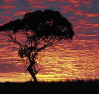 Kimba Caravan Park amp Motel - Sunshine Coast Guide